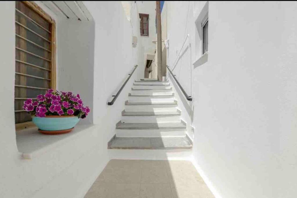 Coco'S Home Luxury Studio Naxos Naxos City Exteriör bild